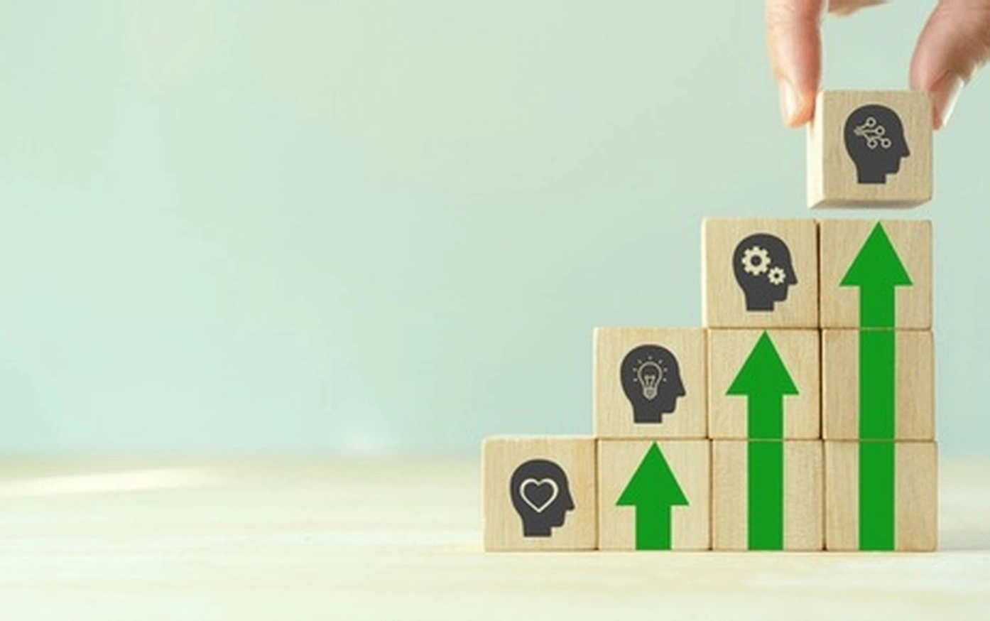 Premium adaptive management coaching